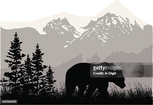 grizzly mountains - animals in the wild stock illustrations