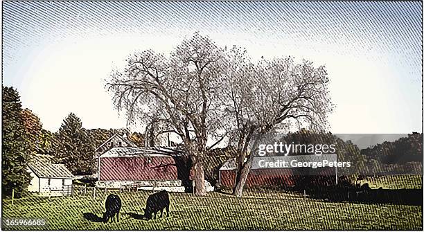 idyllic farm and cows - holstein friesian cattle stock illustrations