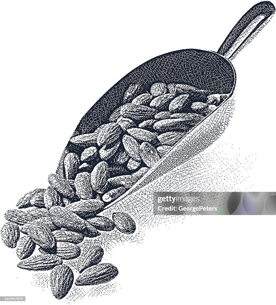 Scoop of Almonds