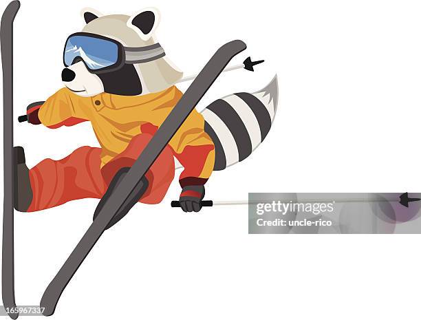 jumping raccoon skier character cartoon - freestyle snowboarding stock illustrations