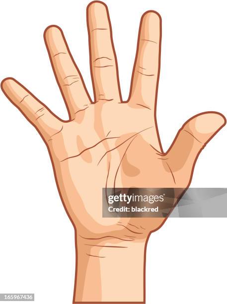 hand geste nummer fünf - handfläche stock-grafiken, -clipart, -cartoons und -symbole