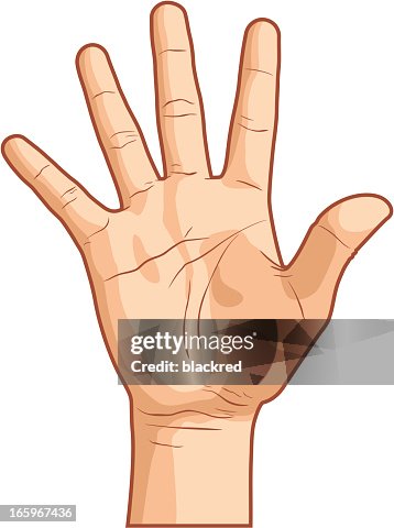 Ilustraciones de Mano Abierta - Getty Images Ilustraciones de Mano Abierta - Getty Images