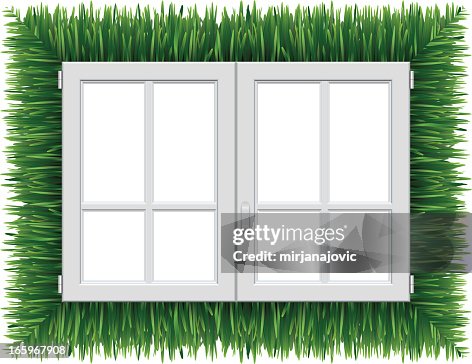 Plastic Window Plastic Window