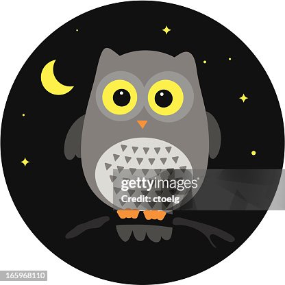 Owl Owl