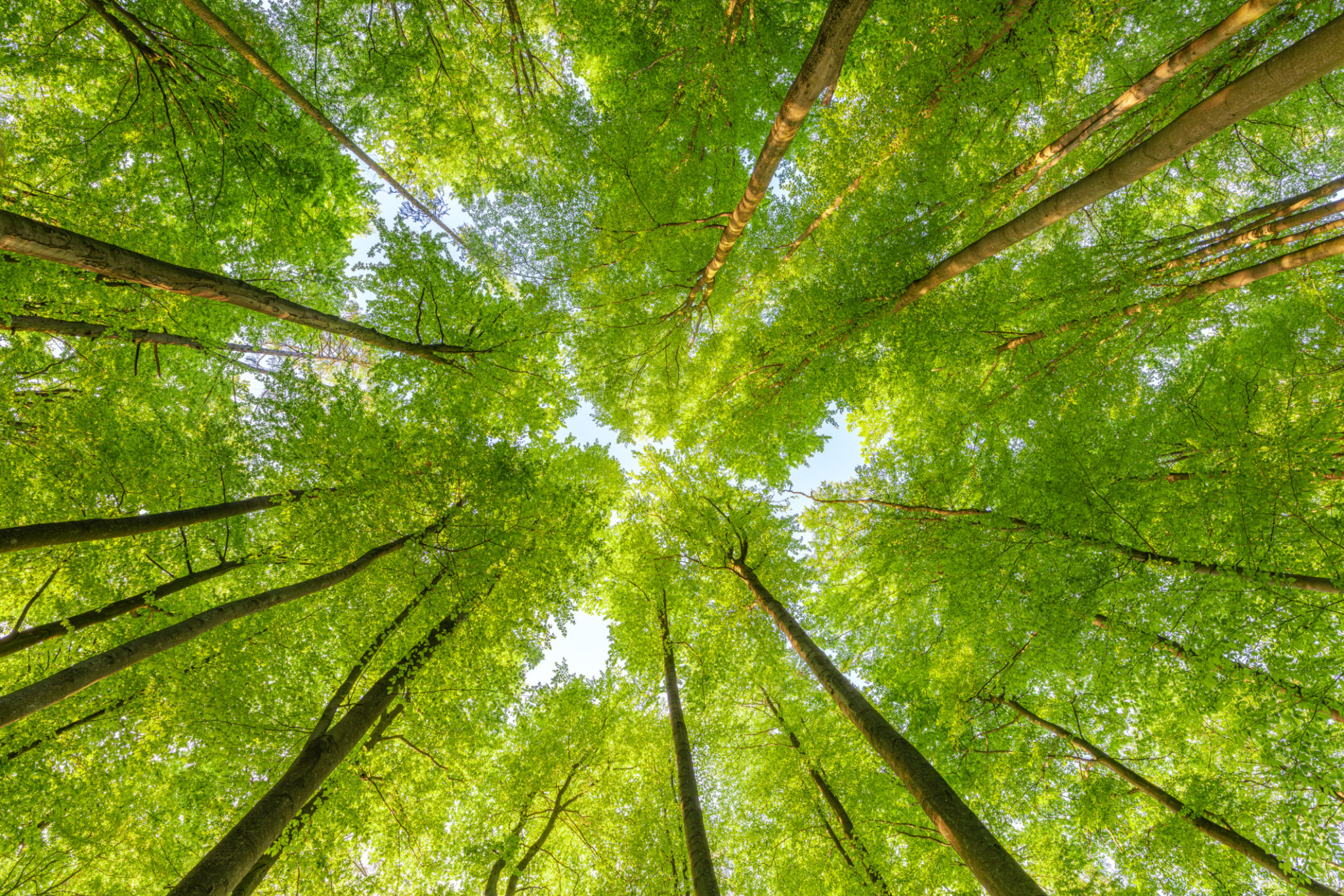sustainable travel