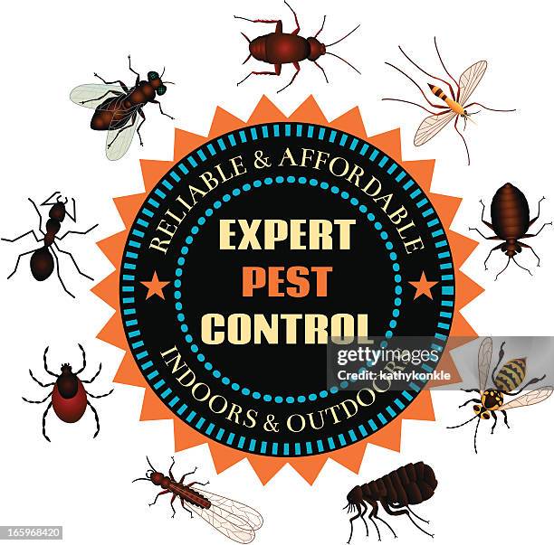 stockillustraties, clipart, cartoons en iconen met expert pest control - vlo