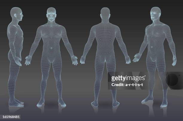 stockillustraties, clipart, cartoons en iconen met set of three dimensional people. - human body