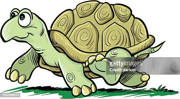 598 Turtle Cartoon Photos and Premium High Res Pictures - Getty Images