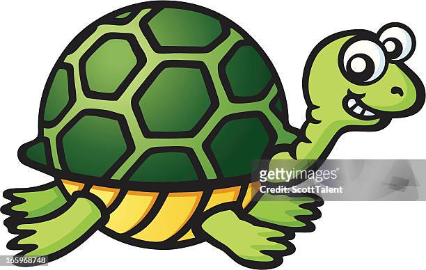 74 Slow Turtle Cartoon Photos and Premium High Res Pictures - Getty Images