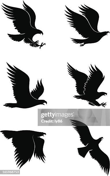 eagles - steinadler stock-grafiken, -clipart, -cartoons und -symbole