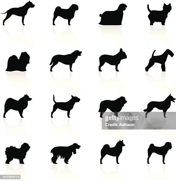 stockillustraties, clipart, cartoons en iconen met black symbols - dogs - sledehond