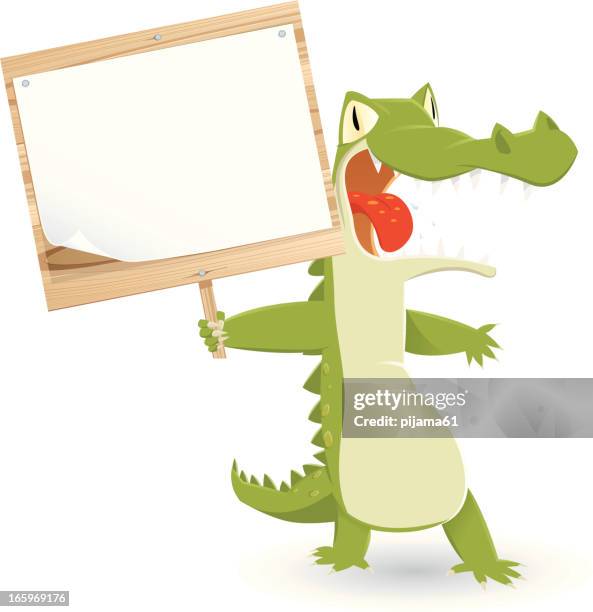crocodile - smiling teeth white background stock illustrations