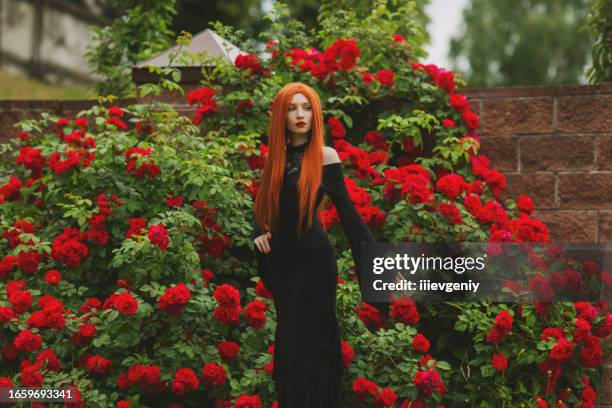 Red Rss Dress Red Rose Dresses Photos and Premium High Res Pictures - Getty Images