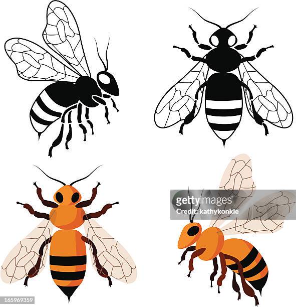 1,130 Cartoon Bees Photos and Premium High Res Pictures - Getty Images