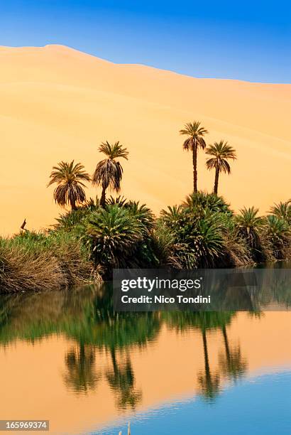 um el ma salt lake, mandara, sahara, libya - mandara lakes stock pictures, royalty-free photos & images