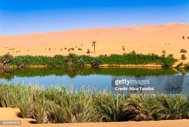 gaberoun salt lake, mandara, sahara, libya - mandara lakes stock pictures, royalty-free photos & images