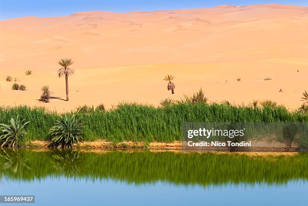 gaberoun salt lake, mandara, sahara, libya - mandara lakes stock pictures, royalty-free photos & images
