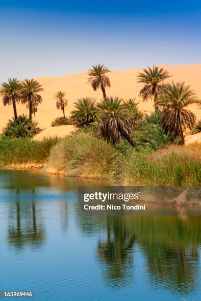 um el ma salt lake, mandara, sahara, libya - mandara lakes stock pictures, royalty-free photos & images