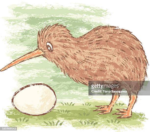 Kiwi Bird And Egg High-Res Vector Graphic - Getty Images