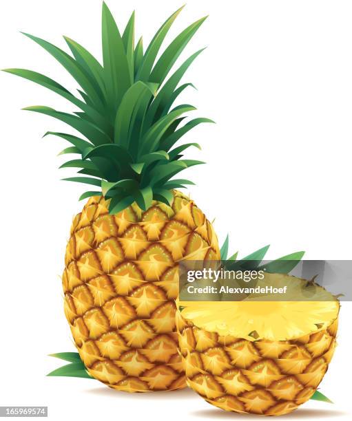 eineinhalb ananas - ananas aufgeschnitten stock-grafiken, -clipart, -cartoons und -symbole