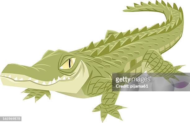 crocodile - crocodile stock illustrations