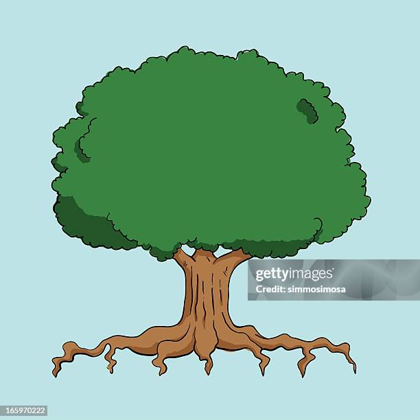 Rustic Roots Cartoon 109 Roots And Tree Cartoon Stock Photos, High-Res Pictures, and Images ...