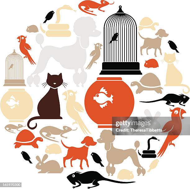 domestic pets icon set - iguana 幅插畫檔、美工圖案、卡通及圖標