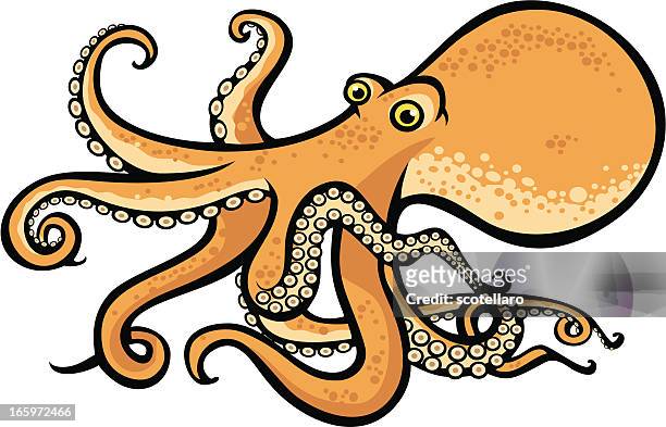 ilustrações de stock, clip art, desenhos animados e ícones de criaturas do mar, polvo - tentacle