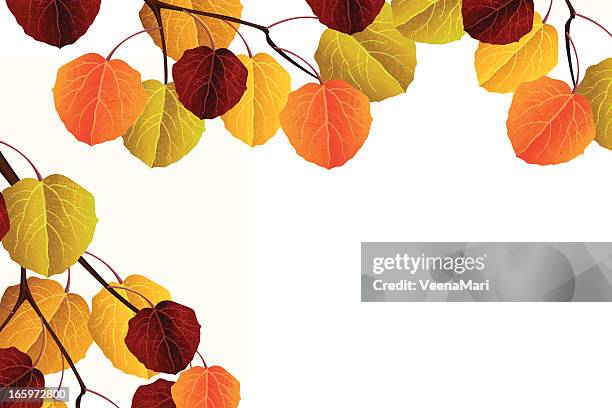 1 175点のポプラの葉のストックフォト Getty Images 1 175点のポプラの葉のストックフォト Getty Images