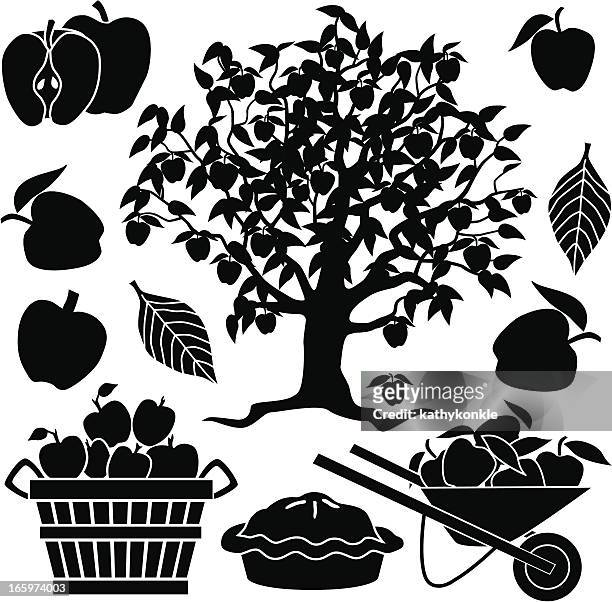 bildbanksillustrationer, clip art samt tecknat material och ikoner med apple tree and apples - äppelträd