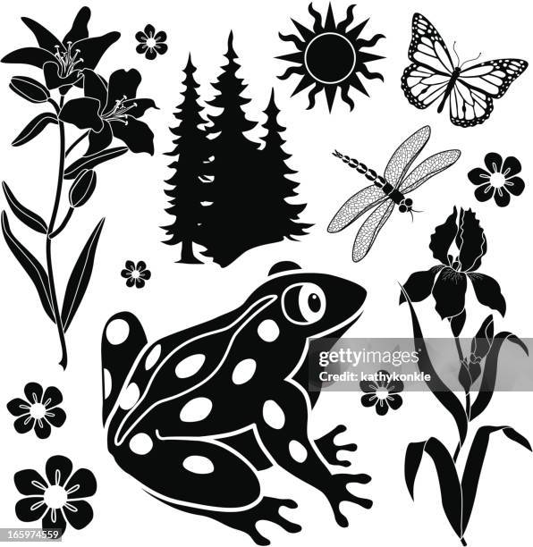 summer design elements - iris flower stock illustrations