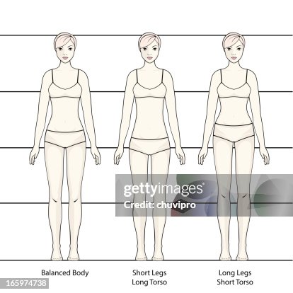 Normal Human Body Shape Human Body High-Res Vector Graphic - Getty Images