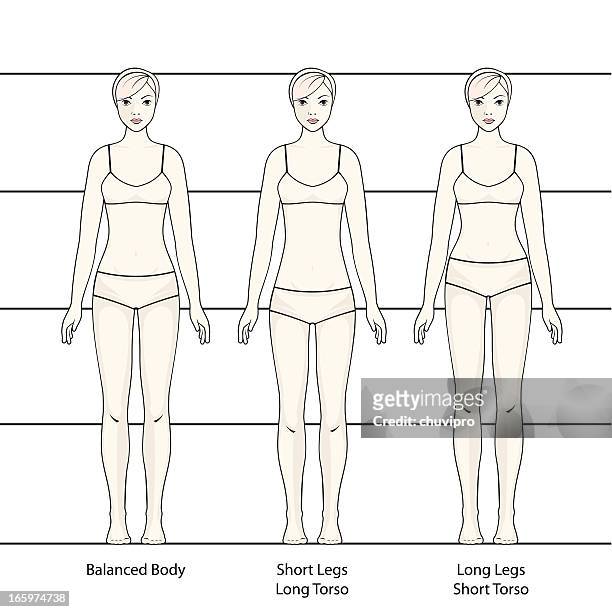 human body - beautiful long legs stock illustrations
