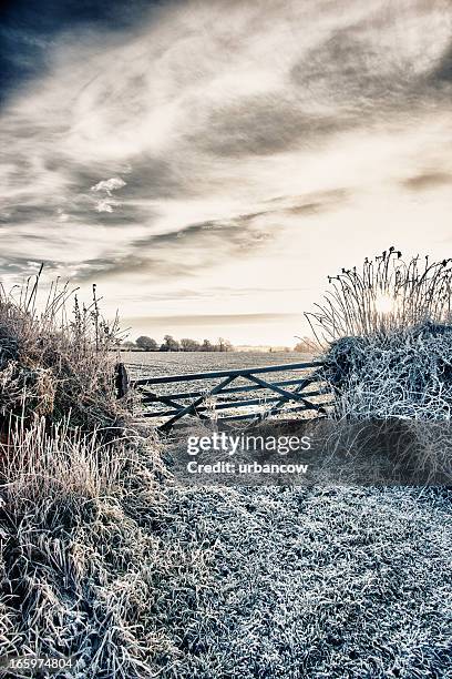 winter field with five bar gate - dorset uk stockfoto's en -beelden