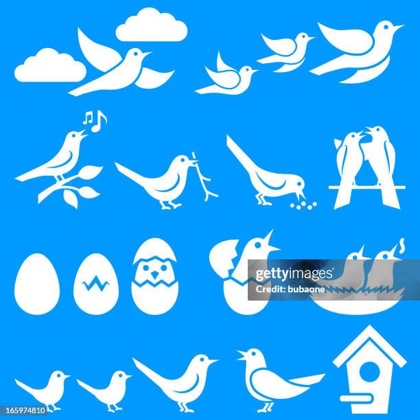 bildbanksillustrationer, clip art samt tecknat material och ikoner med birds on blue summer background - bo