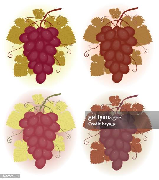 bunches of red grapes - grape leaf stock illustrations