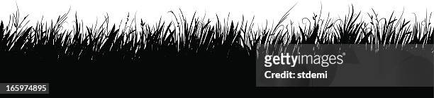 meadow - grass silhouette stock illustrations