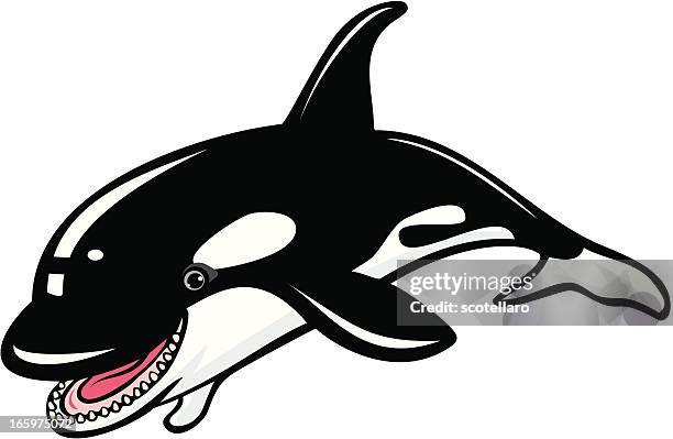 ilustrações, clipart, desenhos animados e ícones de criaturas marinhas, orcas - killer whale