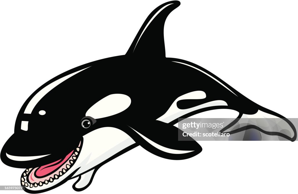 Sea creatures, orca