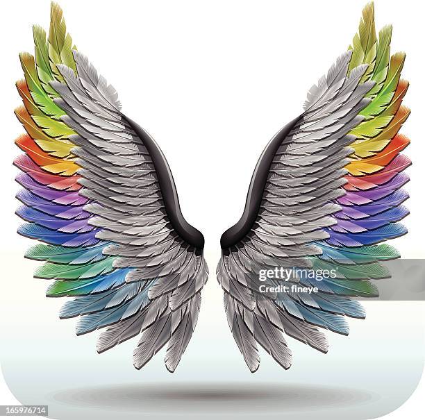 rainbowwings - gespreizte flügel stock-grafiken, -clipart, -cartoons und -symbole