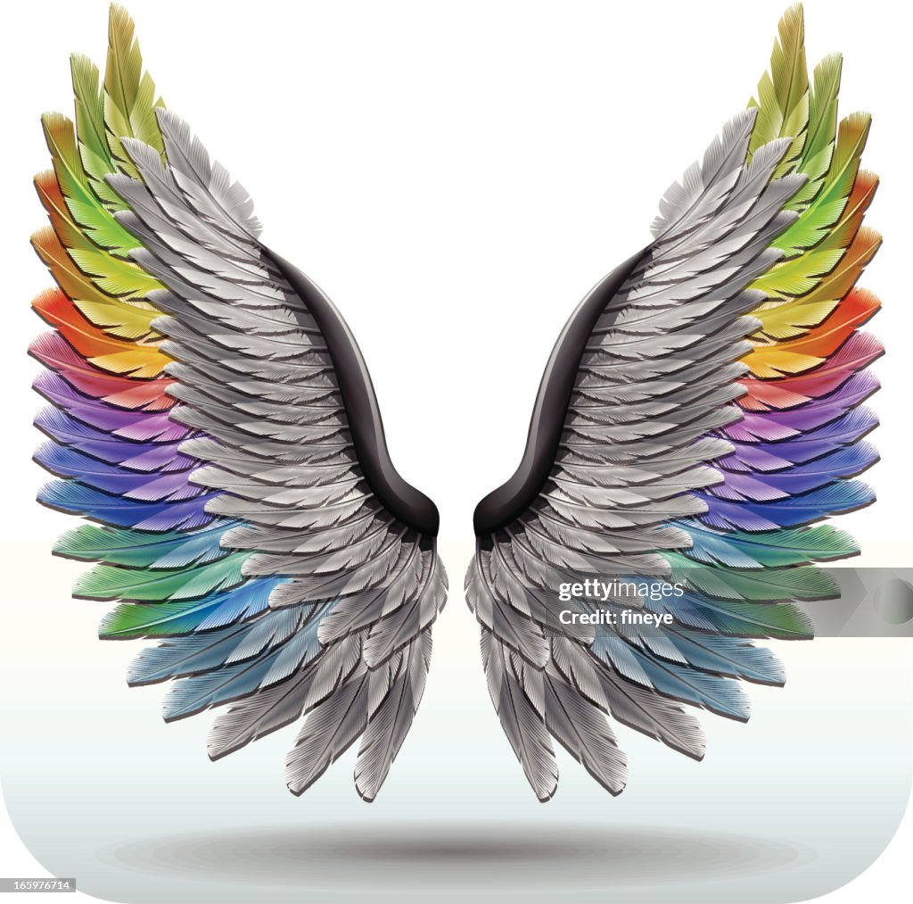 RainbowWings