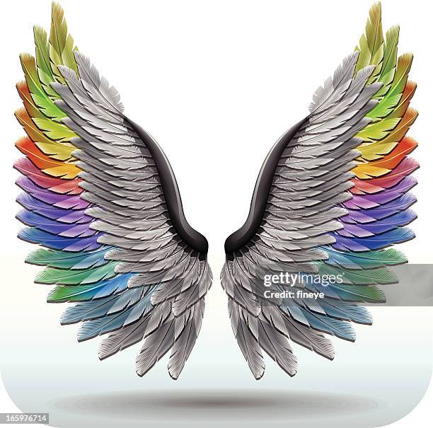 rainbowwings - spread wings stock illustrations