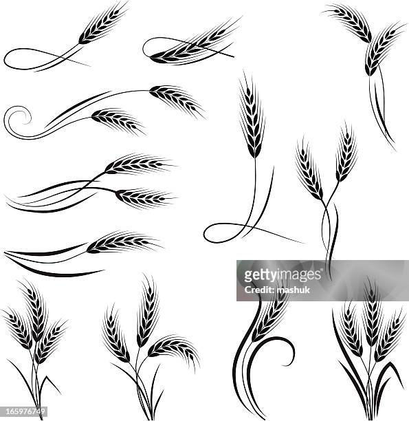 wheat ornament - wheat stock illustrations