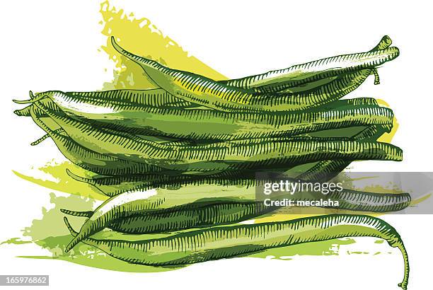 bohnen - legumes aquarelle stock-grafiken, -clipart, -cartoons und -symbole