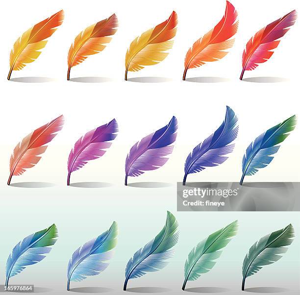 feathers colour - feather floating stock illustrations