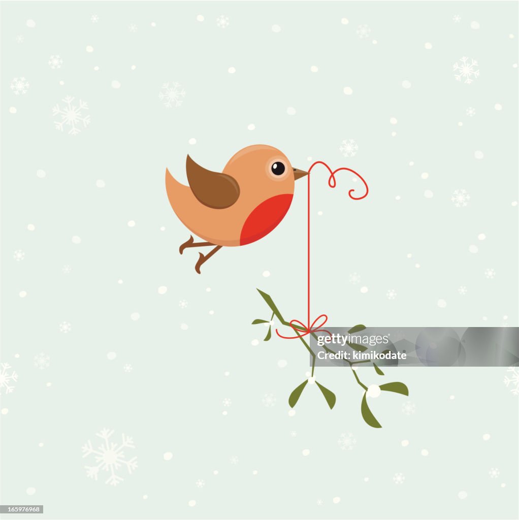 Bird with mistletoe