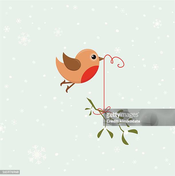 bird with mistletoe - robin 幅插畫檔、美工圖案、卡通及圖標