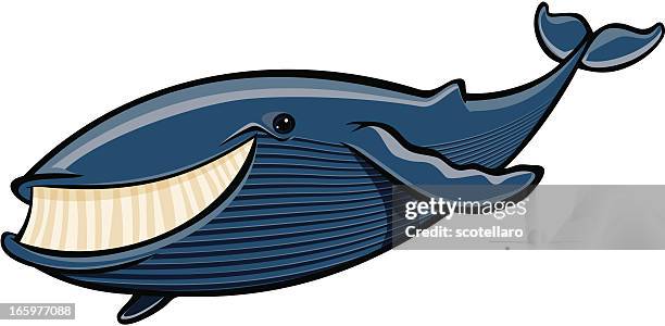 stockillustraties, clipart, cartoons en iconen met sea creatures, whale - pez tropical