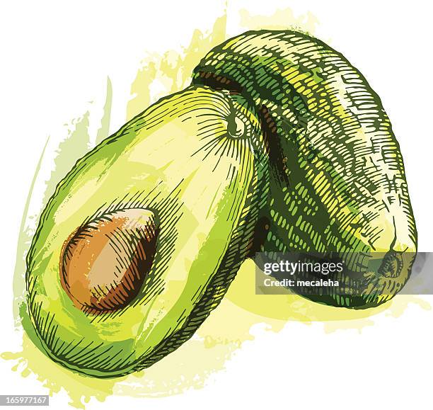 476 Avocado Drawing High Res Illustrations - Getty Images