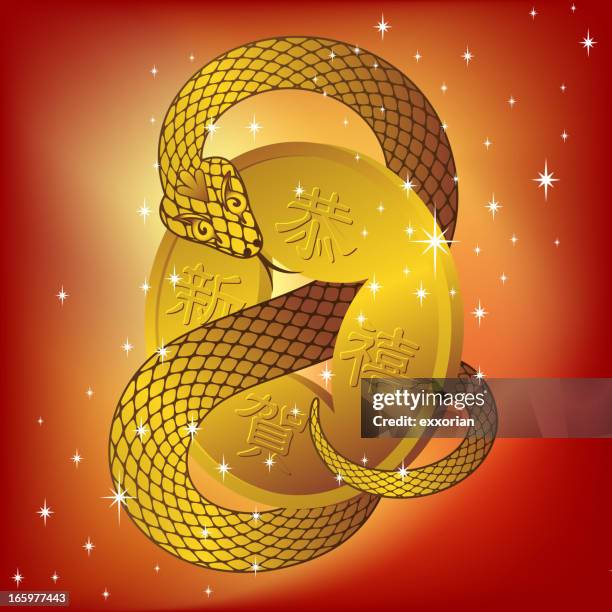 lucky coin with snake - snake skin pattern vector stock illustrations